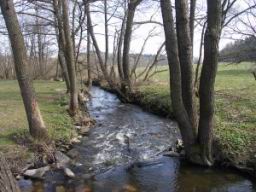 Resize of PICT0097.JPG